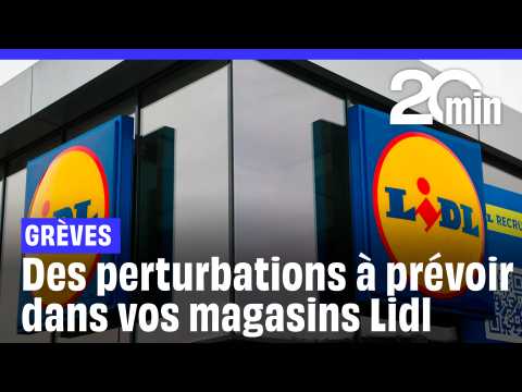 découvrez tout ce qu'il faut savoir sur l'absence de lidl en corse en 2025. informez-vous sur les raisons derrière cette décision et son impact sur les consommateurs locaux.
