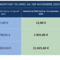 calculez facilement votre salaire net à partir d'un brut de 11,88 € en 2025 grâce à notre outil précis et à jour des dernières réglementations.