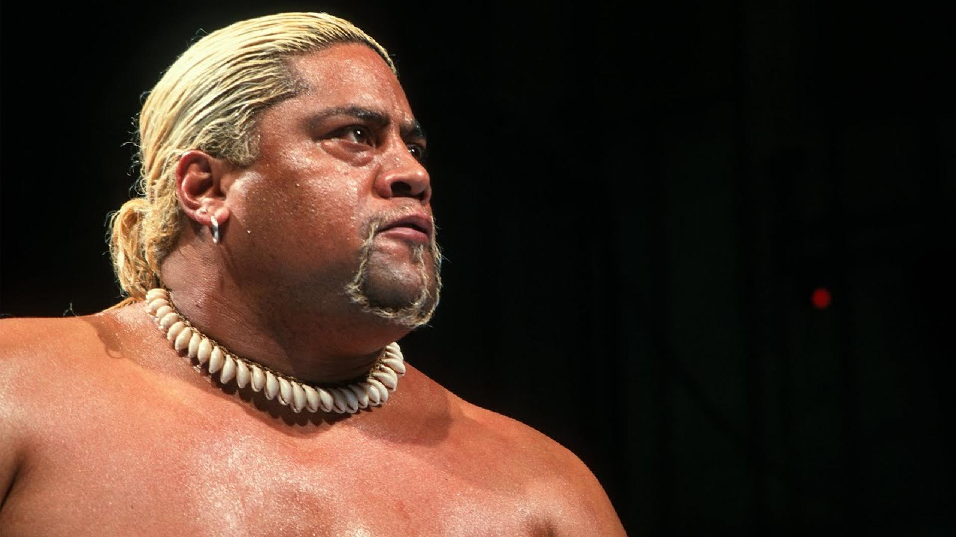 découvrez les scandales et promotions des rikishi, plongez dans les coulisses passionnantes du sumo et suivez l'évolution des lutteurs japonais.
